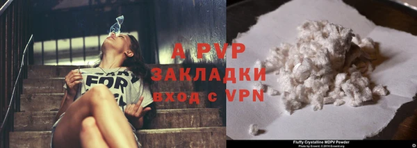 молекула духа Беслан