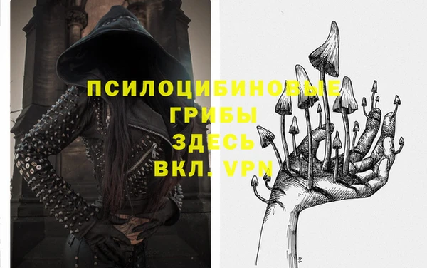 СК Нея